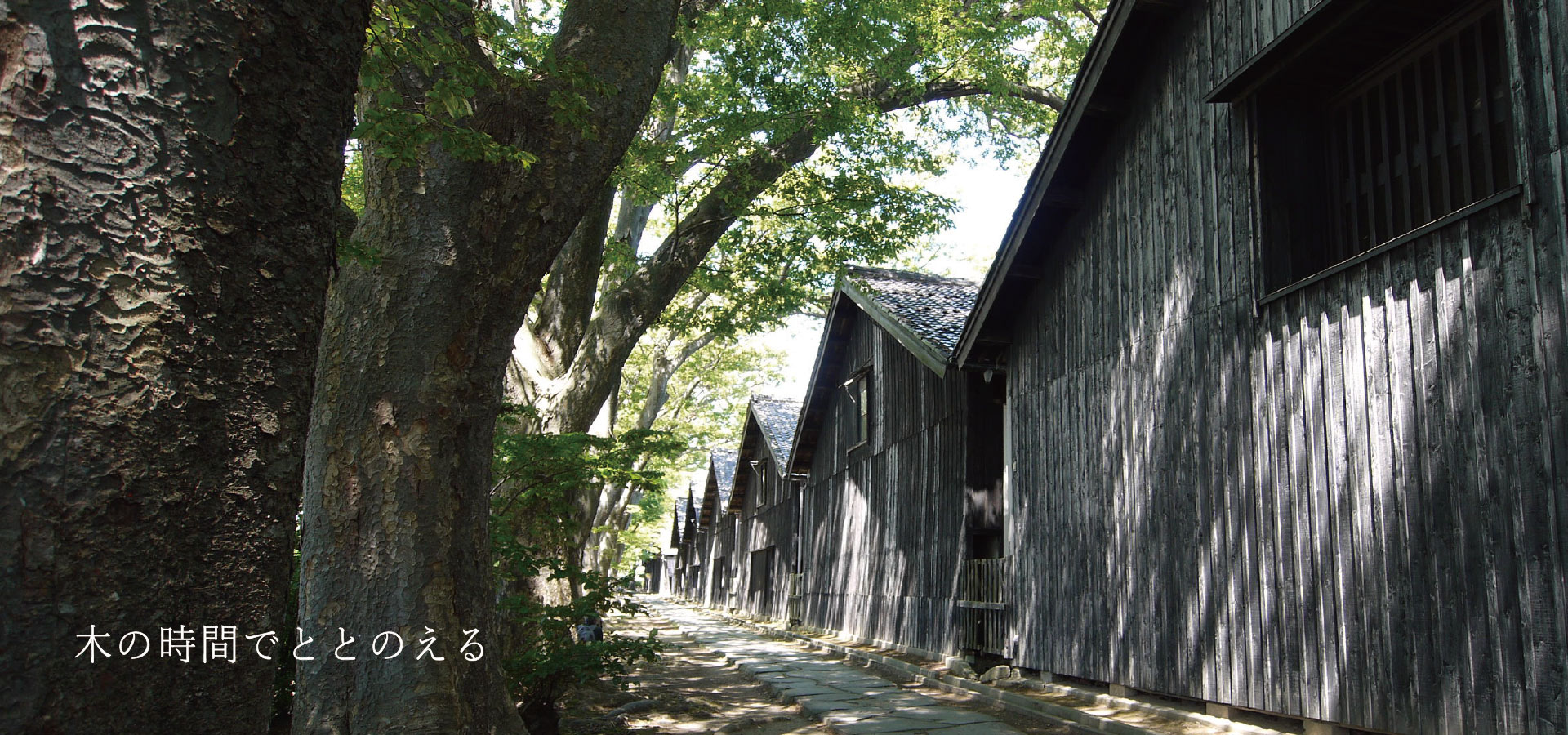 木の外壁と並木道の建築風景