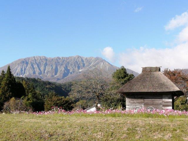 現場から旅行へ(大山紅葉編)